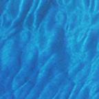 Transparent Coral Blue